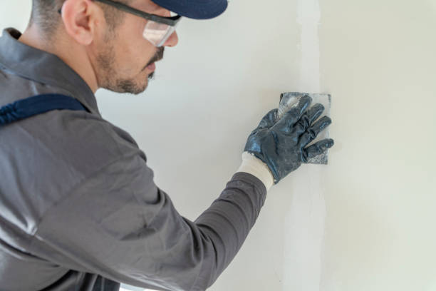 Reliable Battle Creek, MI Mold Removal Solutions
