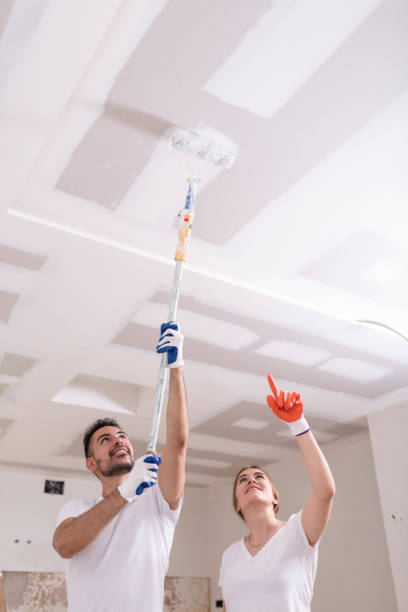 Best Mold Remediation for Healthcare Facilities  in Battle Creek, MI