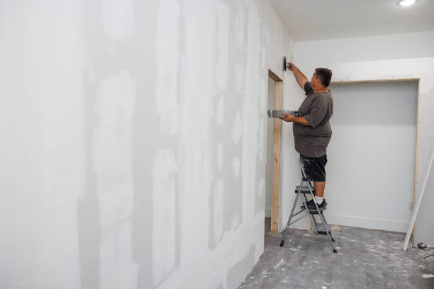 Best Attic Mold Removal  in Battle Creek, MI