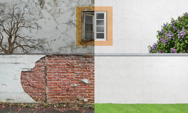 Best Mold Documentation for Insurance Claims  in Battle Creek, MI