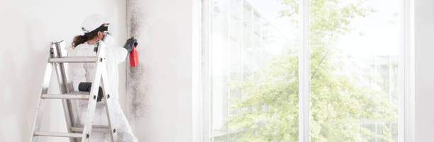 Best Biohazard Mold Removal  in Battle Creek, MI
