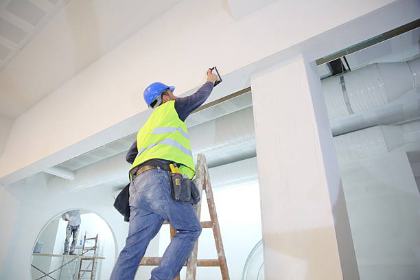 Best Crawl Space Mold Remediation  in Battle Creek, MI