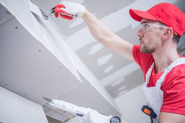 Best Black Mold Removal  in Battle Creek, MI