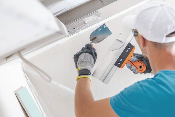 Best Industrial Mold Remediation  in Battle Creek, MI